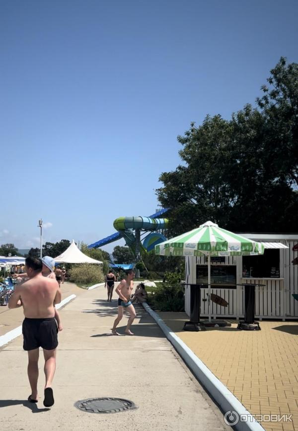 Аквапарк Золотая бухта (Россия, Геленджик) фото