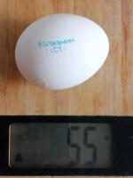 Яйца куриные "Щедрый год" фото