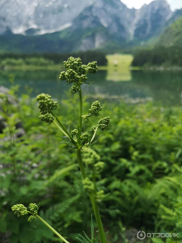 Озера Lago Inferiore di Fusine (Италия, Удине) фото