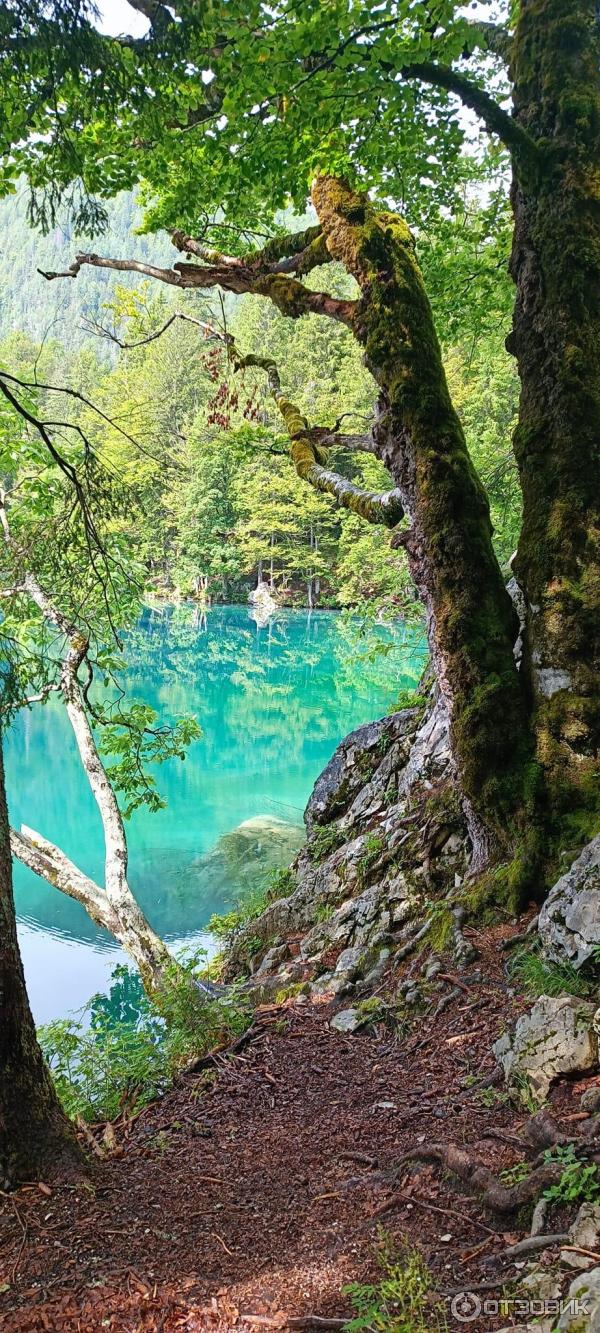 Озера Lago Inferiore di Fusine (Италия, Удине) фото