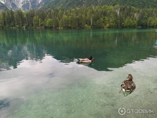 Озера Lago Inferiore di Fusine (Италия, Удине) фото