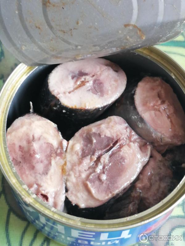 Отзыв о Тунец макрелевый натуральный Капитан Вкусов | Качественный ...