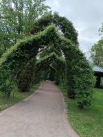 Собор Петра и Павла в Петергофе (Россия, Санкт-Петербург) фото