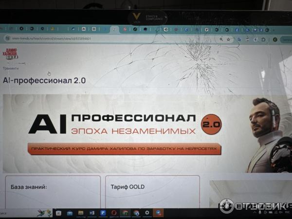 Damir-halilov.ru - онлайн-школа Дамира Халилова фото