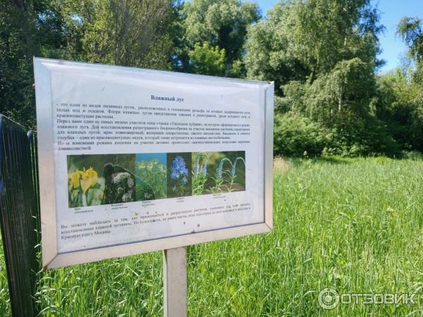 Зона отдыха Терлецкая дубрава (Россия, Москва) фото