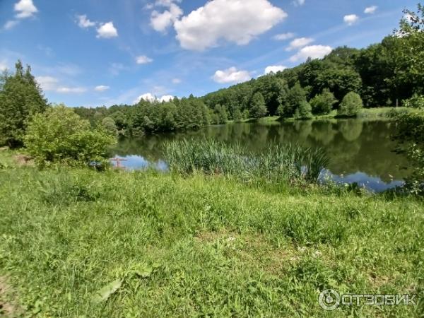 Зона отдыха Терлецкая дубрава (Россия, Москва) фото