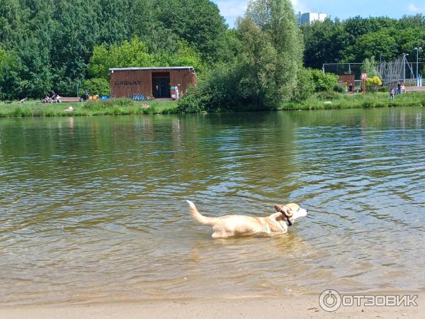 Зона отдыха Терлецкая дубрава (Россия, Москва) фото