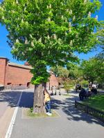 Отдых в Калининграде (Россия, Калининградская область) фото