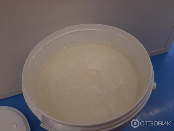 Белая колируемая акриловая краска для osb плит Olimp paints фото