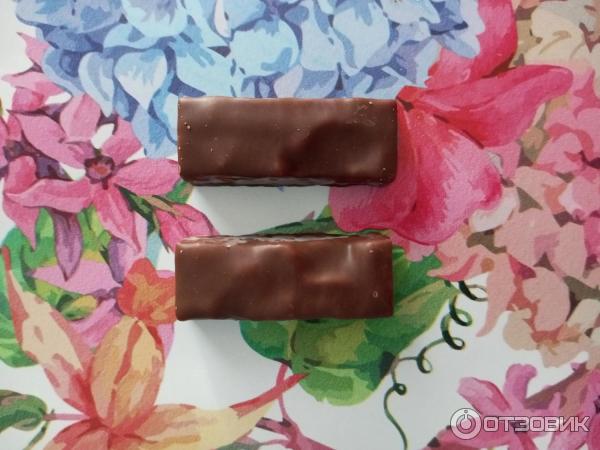 Отзыв о Конфета Славянка Степ "Лесной орех" | Вкусные конфеты