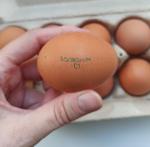 Яйца куриные "Щедрый год" фото