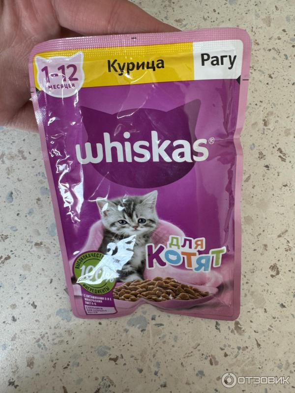 Корм для котят Whiskas Рагу с курицей фото