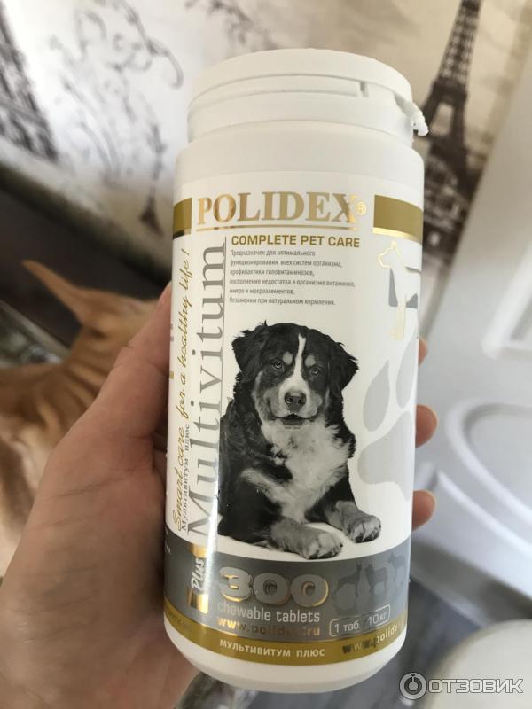Отзыв о Витамины для собак Polidex Multivitum plus | Прошли мимо без ...