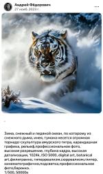 Шедеврум - приложение для Android фото