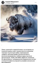 Шедеврум - приложение для Android фото
