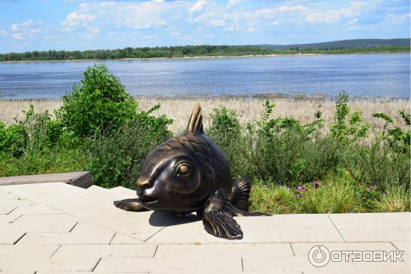 Музейный комплекс и достопримечательности села Ширяево (Россия, Самарская область) фото