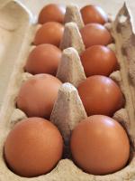 Яйца куриные "Щедрый год" фото