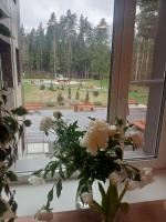 Клиника ранней реабилитации «Три сестры» (Россия, Московская область) фото