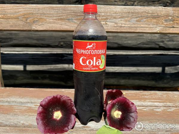 Отзыв о Напиток безалкогольный сильногазированный Черноголовка "Кола со ...