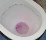 Средство чистящее "Domestos" Pink для туалета фото