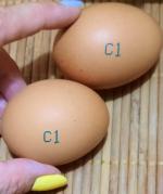 Яйца куриные "Щедрый год" фото