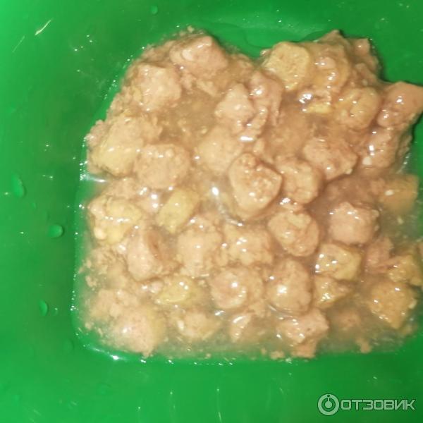 Отзыв о Консервированный корм для кошек Tafi с курицей в соусе | Мои ...