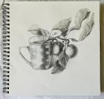 Kalachevaschool.ru - онлайн-школа рисования Вероники Калачевой фото