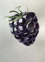 Kalachevaschool.ru - онлайн-школа рисования Вероники Калачевой фото