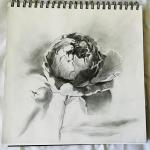 Kalachevaschool.ru - онлайн-школа рисования Вероники Калачевой фото