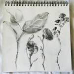 Kalachevaschool.ru - онлайн-школа рисования Вероники Калачевой фото