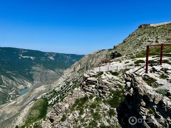 Парк дубки малоярославец фото. Парк дубки химки. Машиной дубки. Выставка ретро автомобилей в нижнем новгороде. Парк ближние дубки.