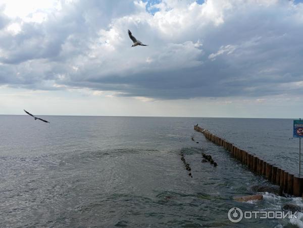 Отдых в г. Зеленоградск (Россия, Калининградская область) фото