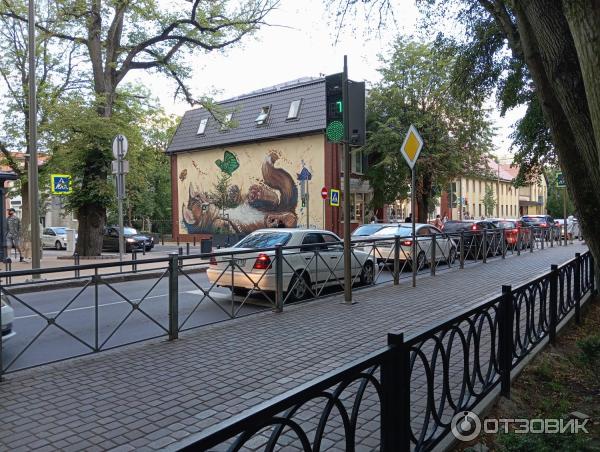 Отдых в г. Зеленоградск (Россия, Калининградская область) фото