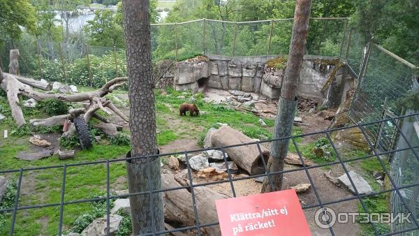 Этнографический музей под открытым небом Skansen (Швеция, Стокгольм) фото