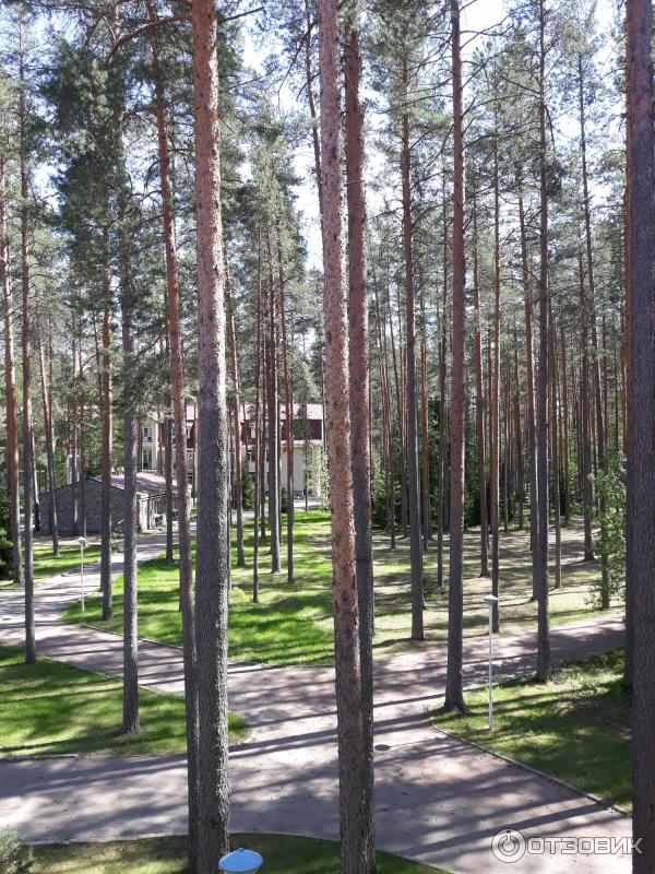 Отель Райвола (Россия, Санкт-Петербург) фото