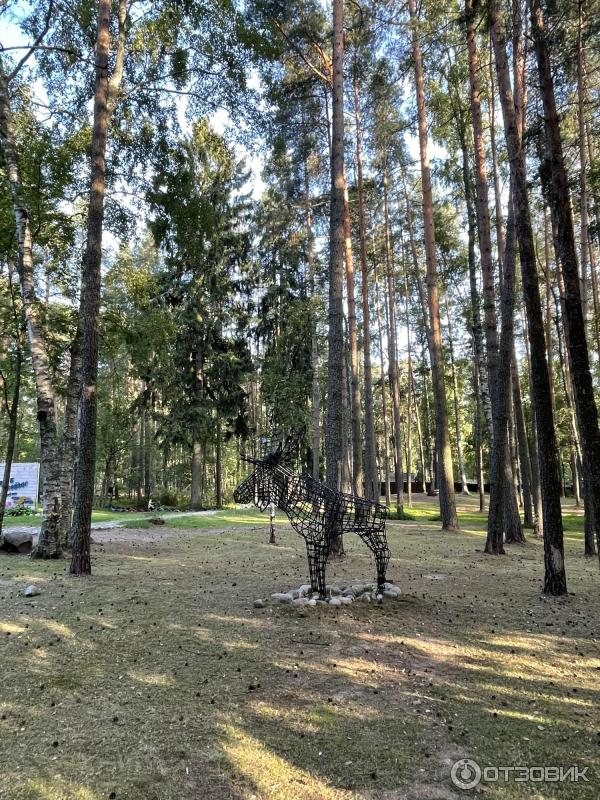 территория