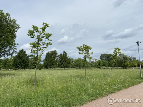 Пулковский парк (Россия, Санкт-Петербург)