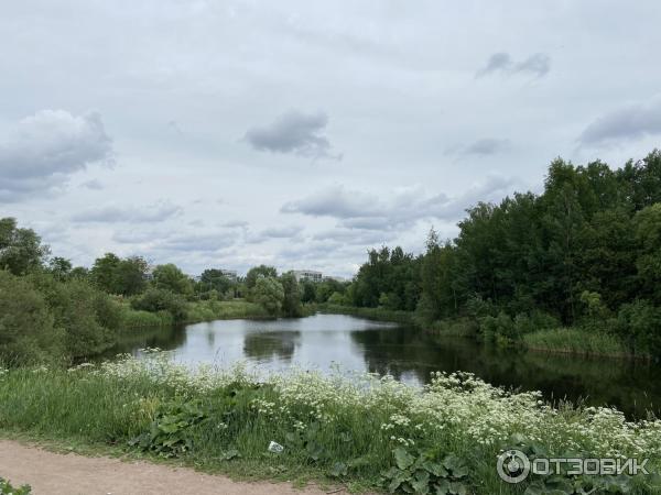 Пулковский парк (Россия, Санкт-Петербург)