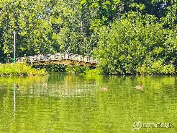 Дом отдыха Ершово (Россия, Звенигород) фото