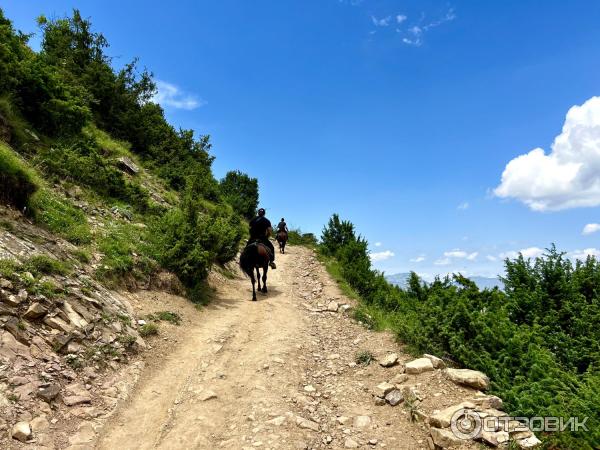 Экскурсия по старинному селу Гамсутль (Россия, Дагестан) фото