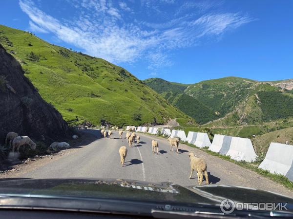 Экскурсия по старинному селу Гамсутль (Россия, Дагестан) фото