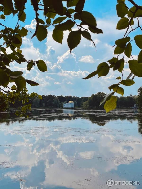 Екатерининский парк в городе Пушкин (Россия, Санкт-Петербург) фото