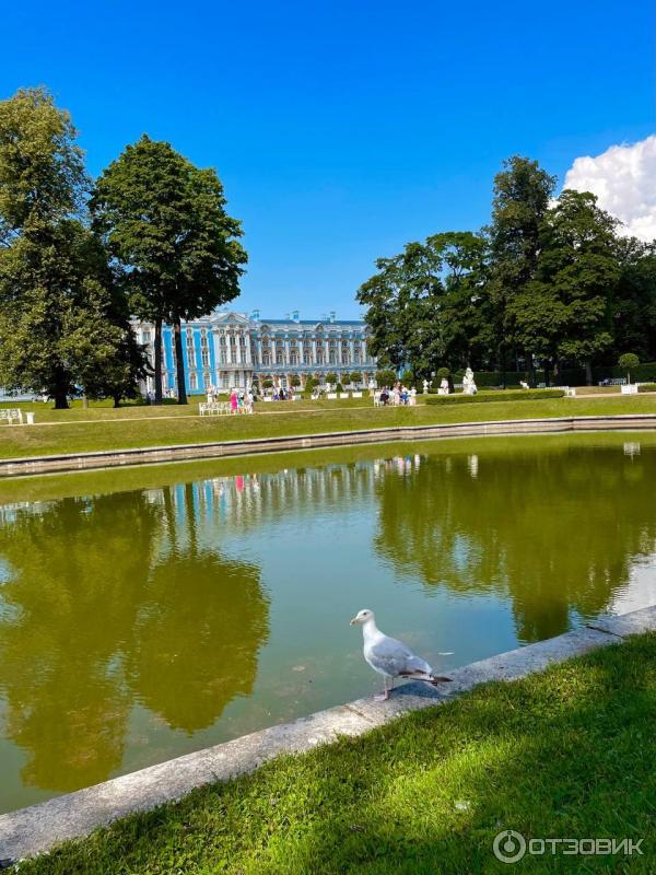 Екатерининский парк в городе Пушкин (Россия, Санкт-Петербург) фото