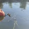 Аноним5532585
