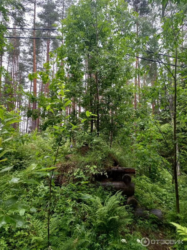 Путешествие на остров Валаам фото