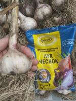 Специализированное удобрение Фаско "Лук и Чеснок" фото
