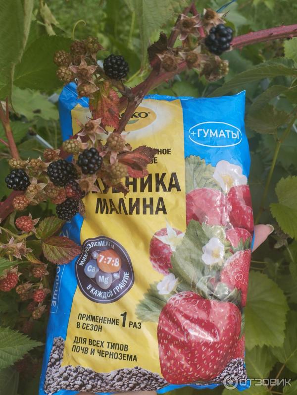Специализированное удобрение Клубника Фаско фото
