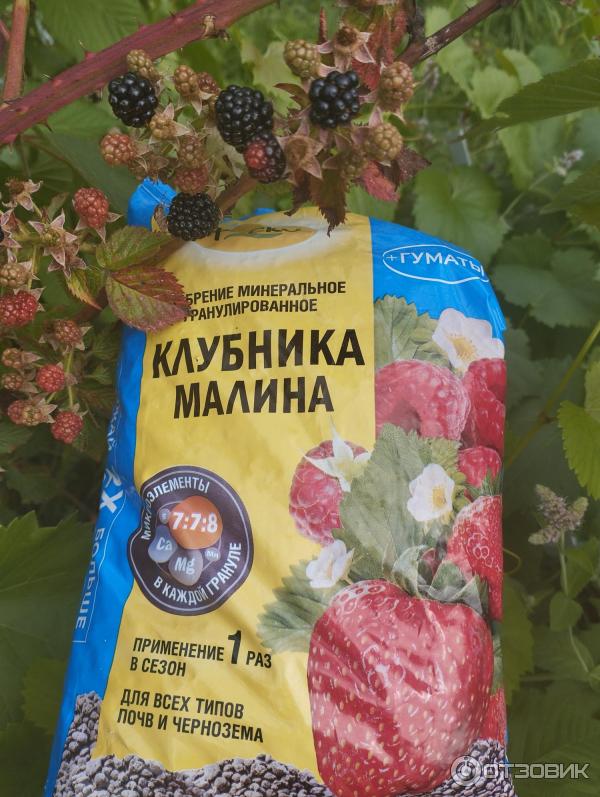 Специализированное удобрение Клубника Фаско фото