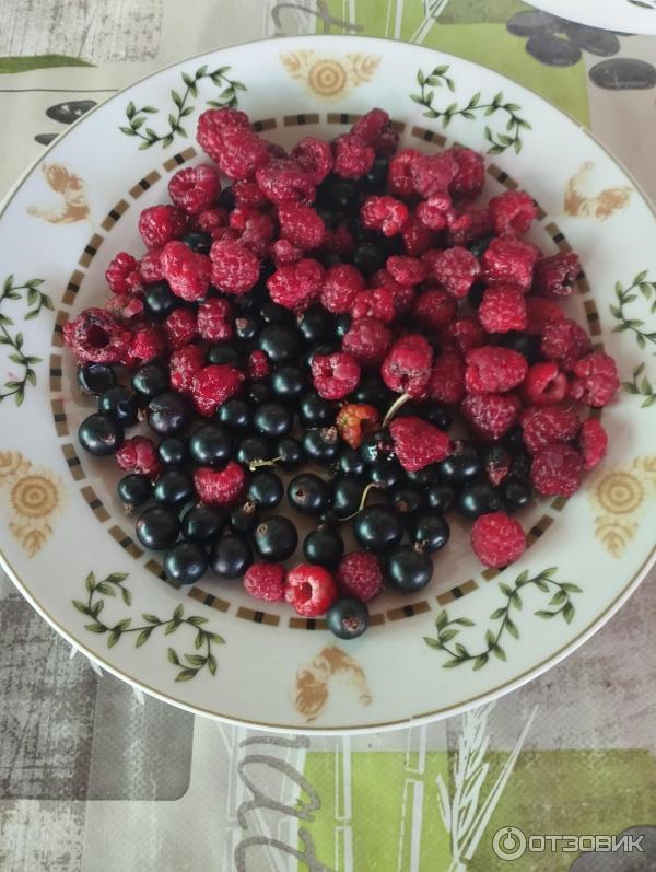 Специализированное удобрение Клубника Фаско фото