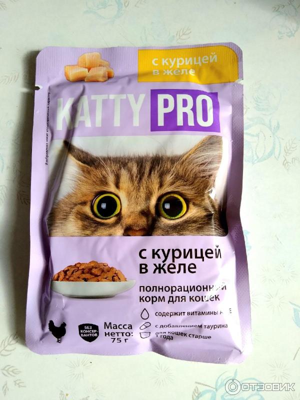 Влажный Корм Для Кошек Katty Купить